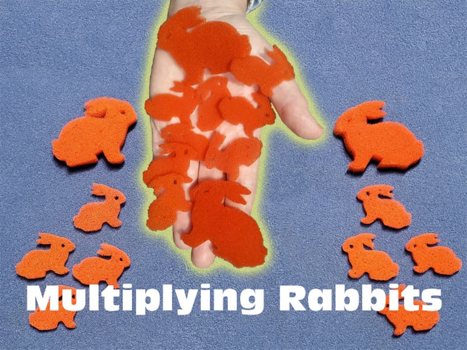 Multiplying Rabbits