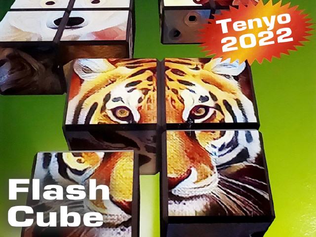 Flash Cube - Tenyo 2022