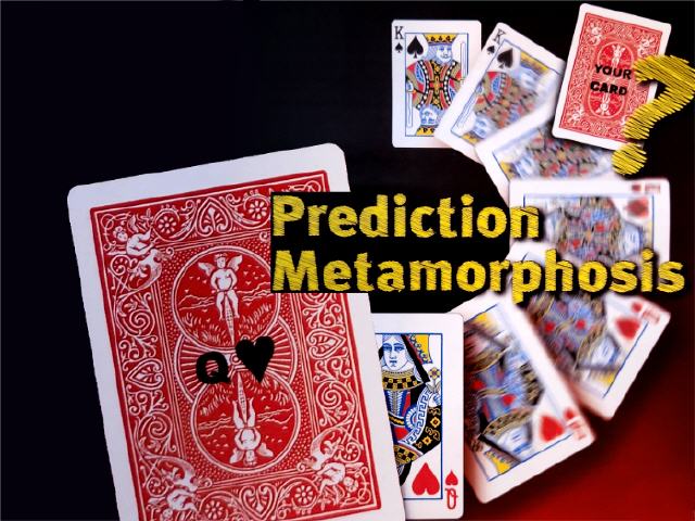 Prediction Metamorphosis
