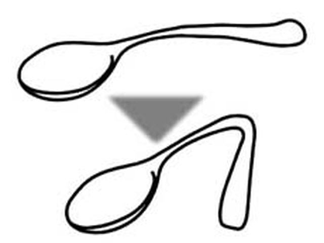Spoon